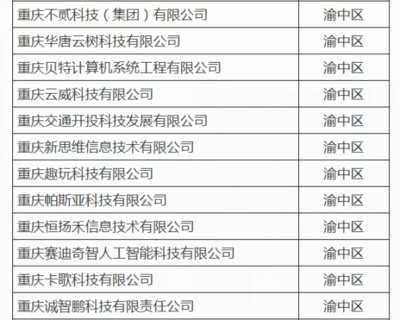 渝中12家企業(yè)入選重慶首批“滿天星”示范企業(yè)，引領(lǐng)軟件開發(fā)新高度