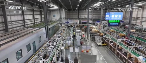 市場活力強 一攬子增量政策為中小企業發展注入新動能——重慶企業軟件開發業的機遇與展望